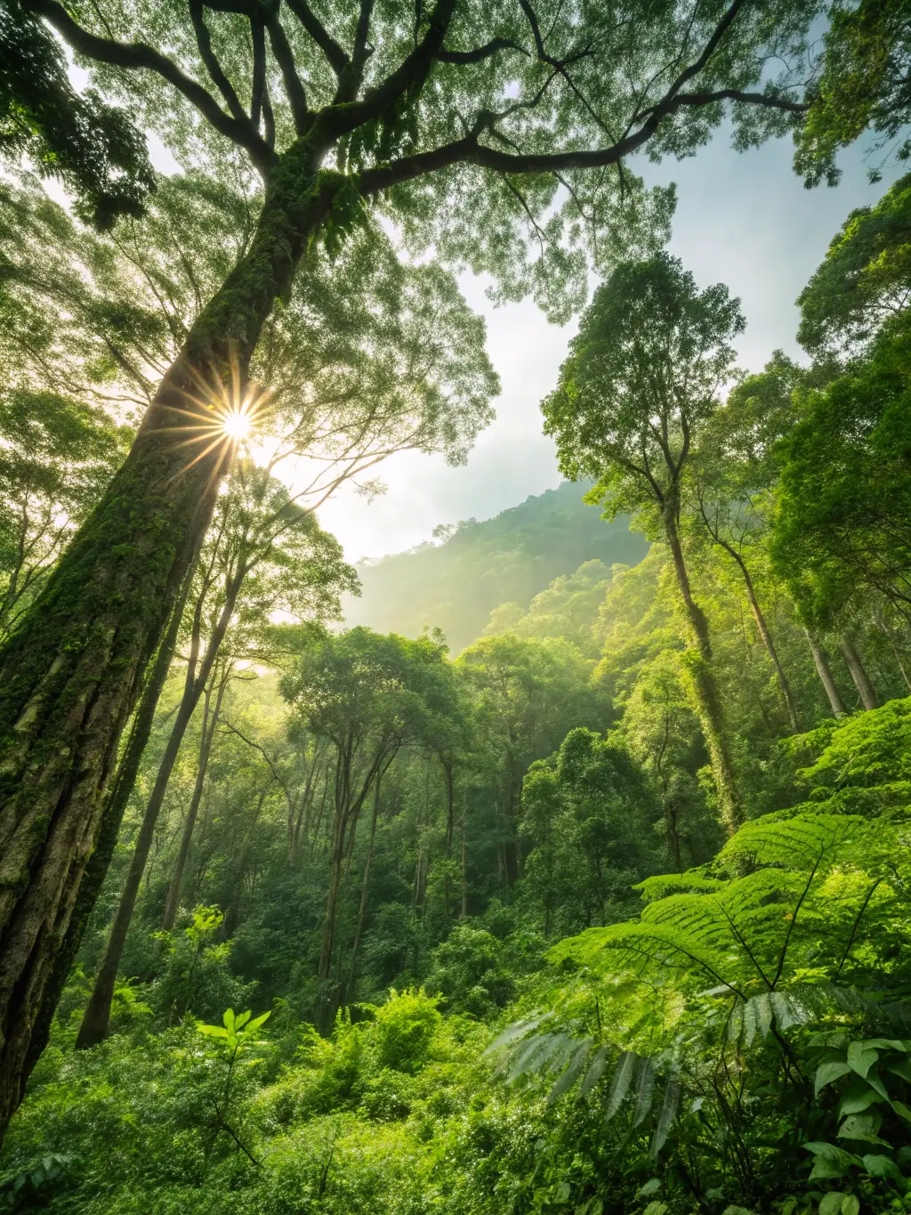 A photograph capturing a lush, revitalized forest area, showcasing the positive impact of SOCIETE DE CHASSE DE SURIS's habitat restoration efforts on the local ecosystem.